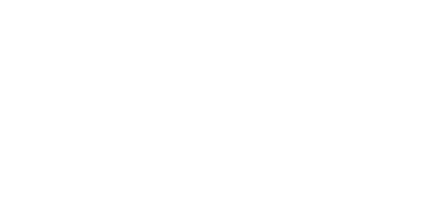 Levezi Beleza e Estética — logo horizontal original